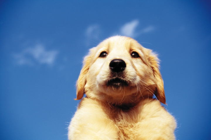 �[�H�C���[�W