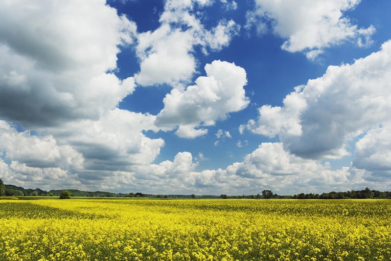 ����C���[�W